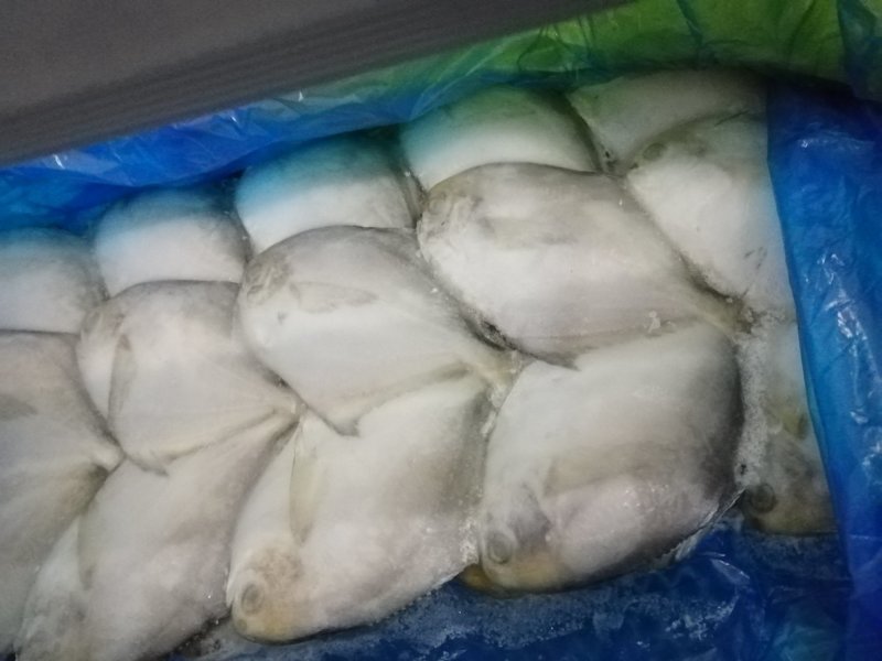 冻品海鲜