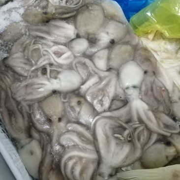 冻品海鲜