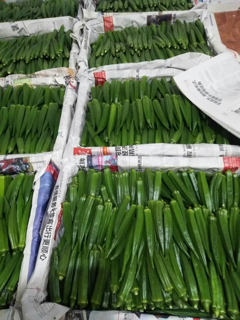 黄秋葵海南秋葵水果秋葵精品水果秋葵上市啦