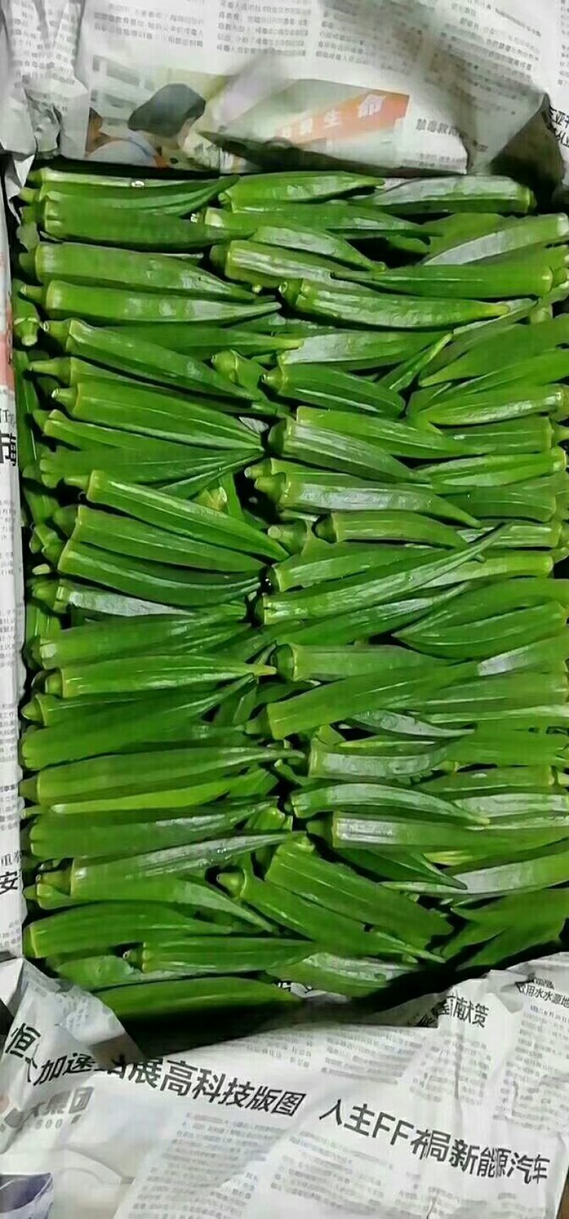 黄秋葵海南秋葵水果秋葵精品水果秋葵上市啦