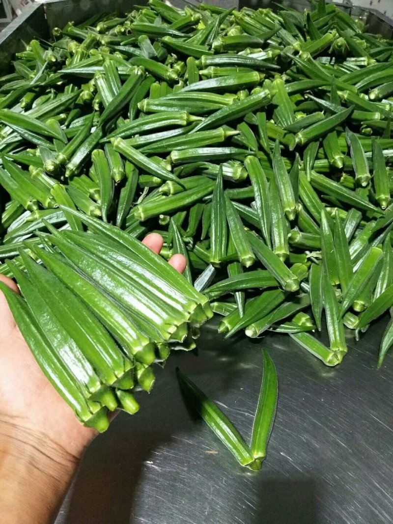 黄秋葵海南秋葵水果秋葵精品水果秋葵上市啦