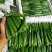 黄秋葵海南秋葵水果秋葵精品水果秋葵上市啦