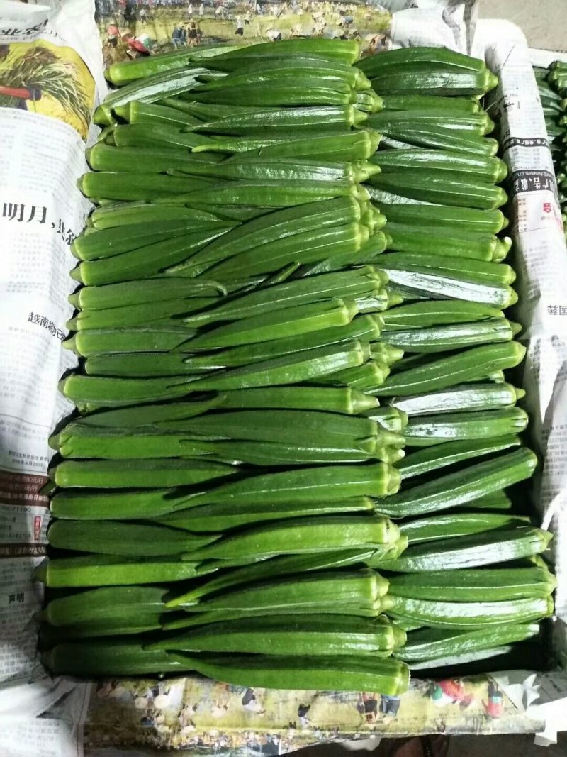 黄秋葵海南秋葵水果秋葵精品水果秋葵上市啦