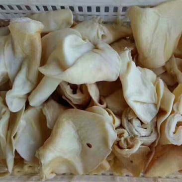 生牛耳片，可做真空包装。