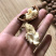 云南大理新鲜核桃冷库现货