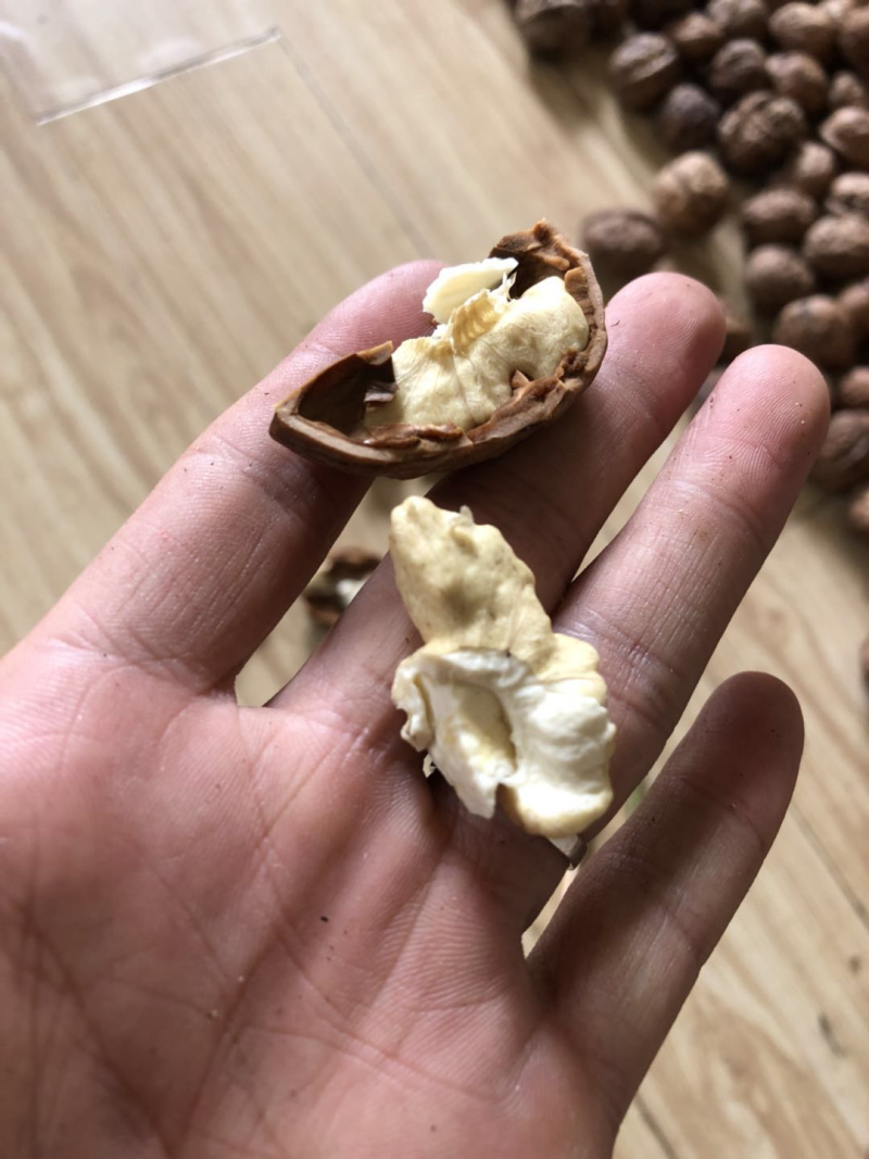 云南大理新鲜核桃冷库现货
