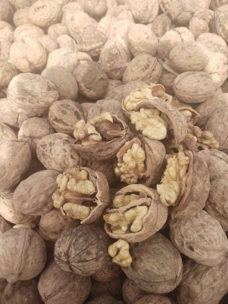 新疆和田地区皮山县核桃