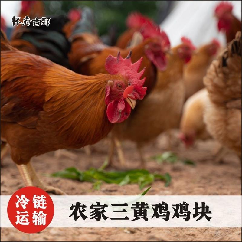 【1.2Kg装】农家散养土鸡三黄鸡冰鲜鸡肉块精选鸡肉免切