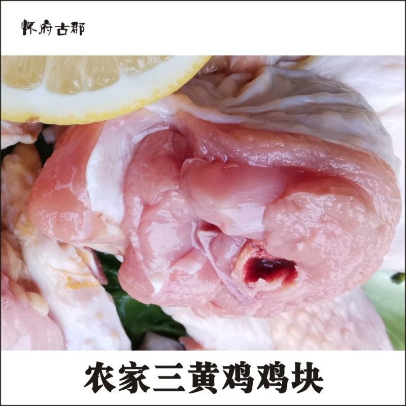 【1.2Kg装】农家散养土鸡三黄鸡冰鲜鸡肉块精选鸡肉免切
