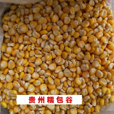 贵州糯包谷