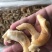 去脏黄鸟贝干冰新鲜度好
