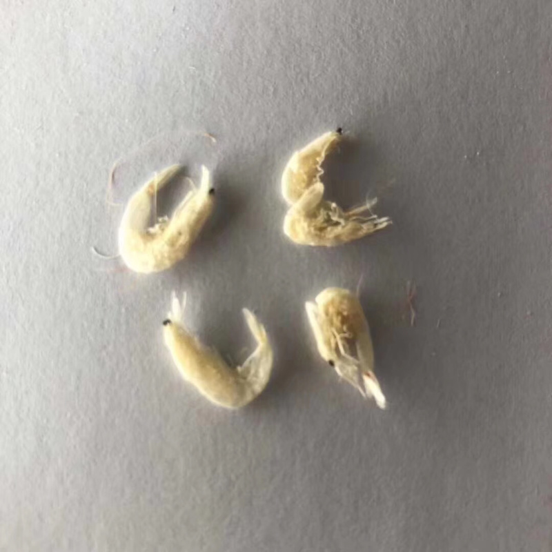 虾皮
