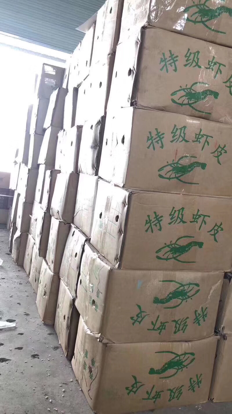 虾皮