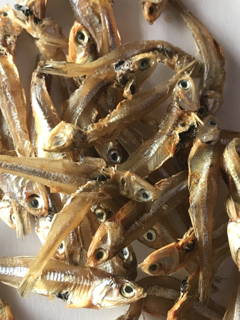 虾皮