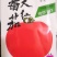 【有好货】903大红番茄种子(早中熟型，高产红番茄)