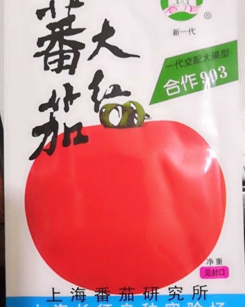 【有好货】903大红番茄种子(早中熟型，高产红番茄)