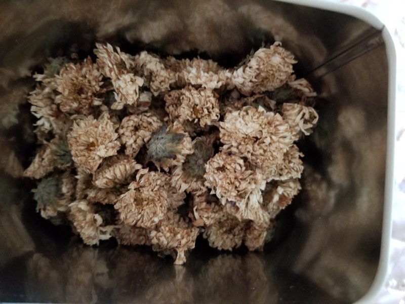 珍珠菊花