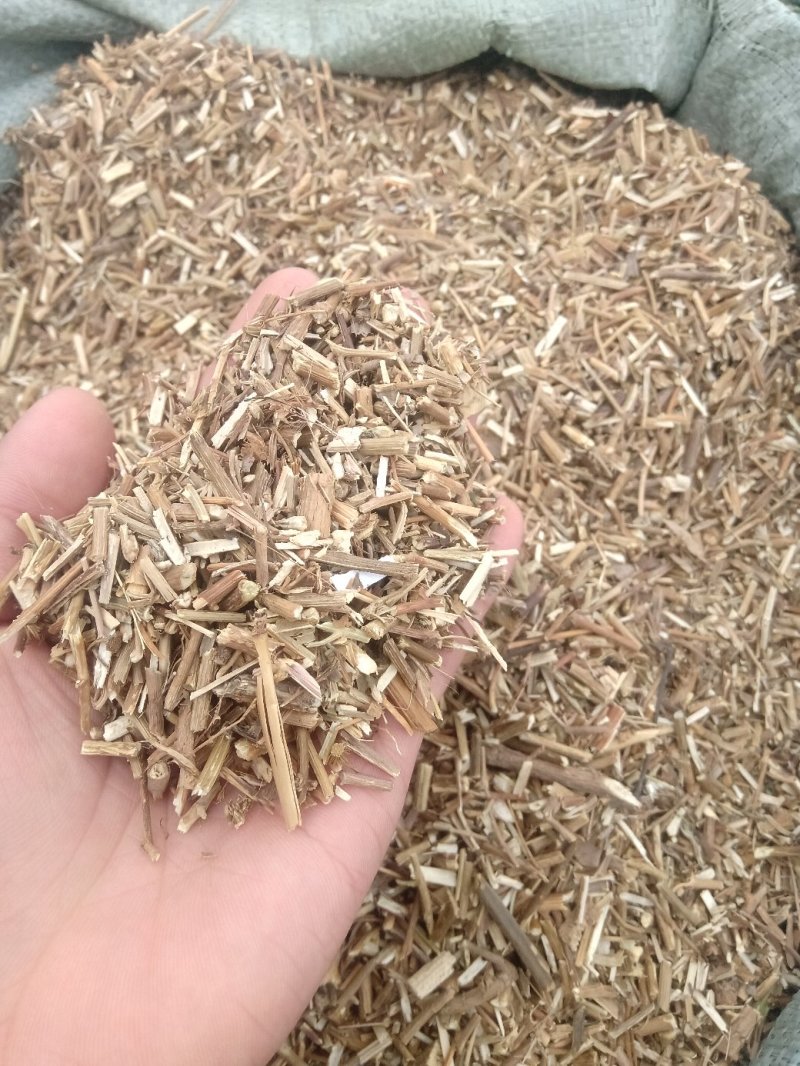 千里光1公斤起批不包邮量大从优欢迎咨询
