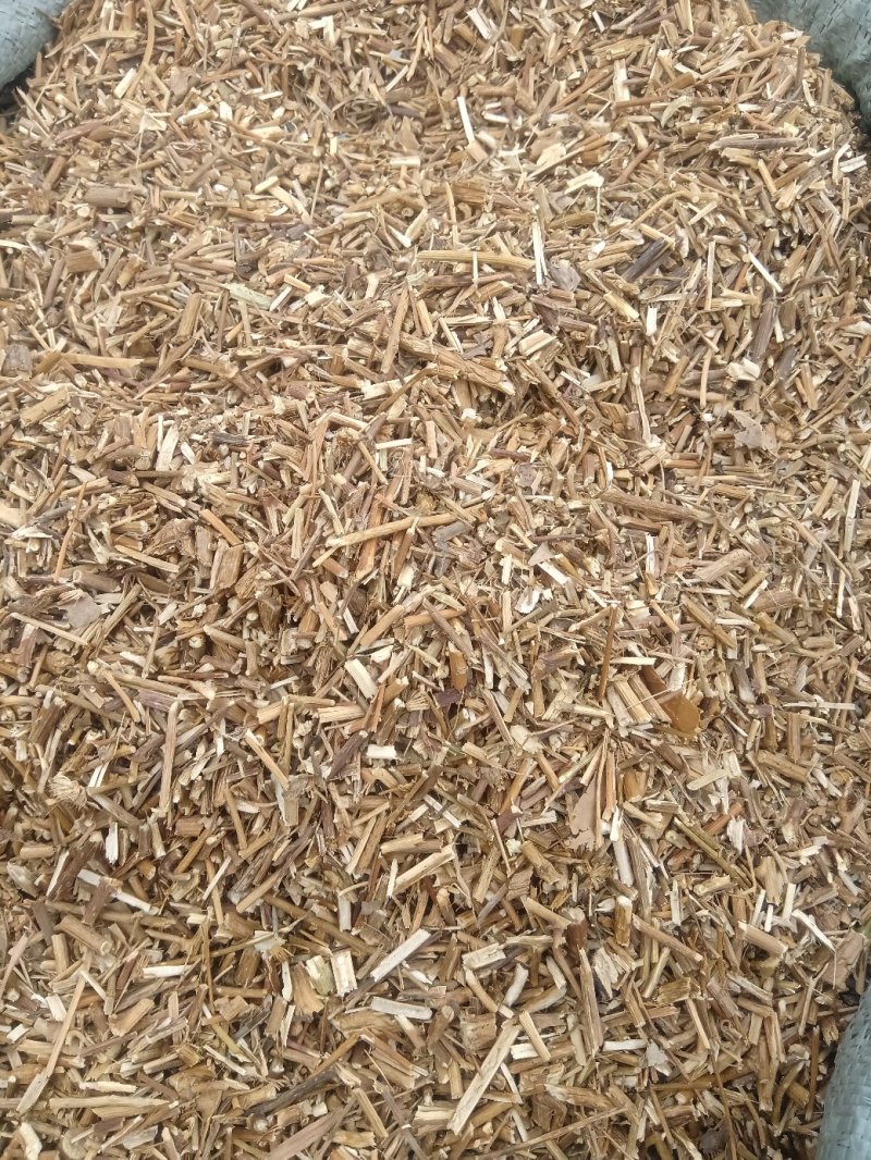 千里光1公斤起批不包邮量大从优欢迎咨询