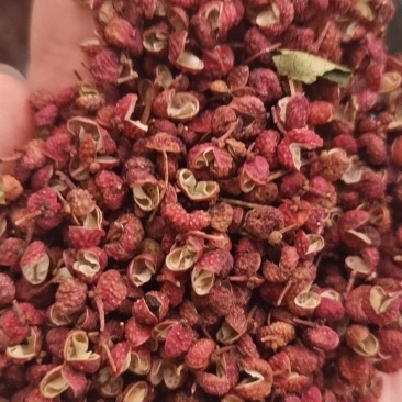 【精品】大红袍花椒自然晒干自产自销保质保量量大从优