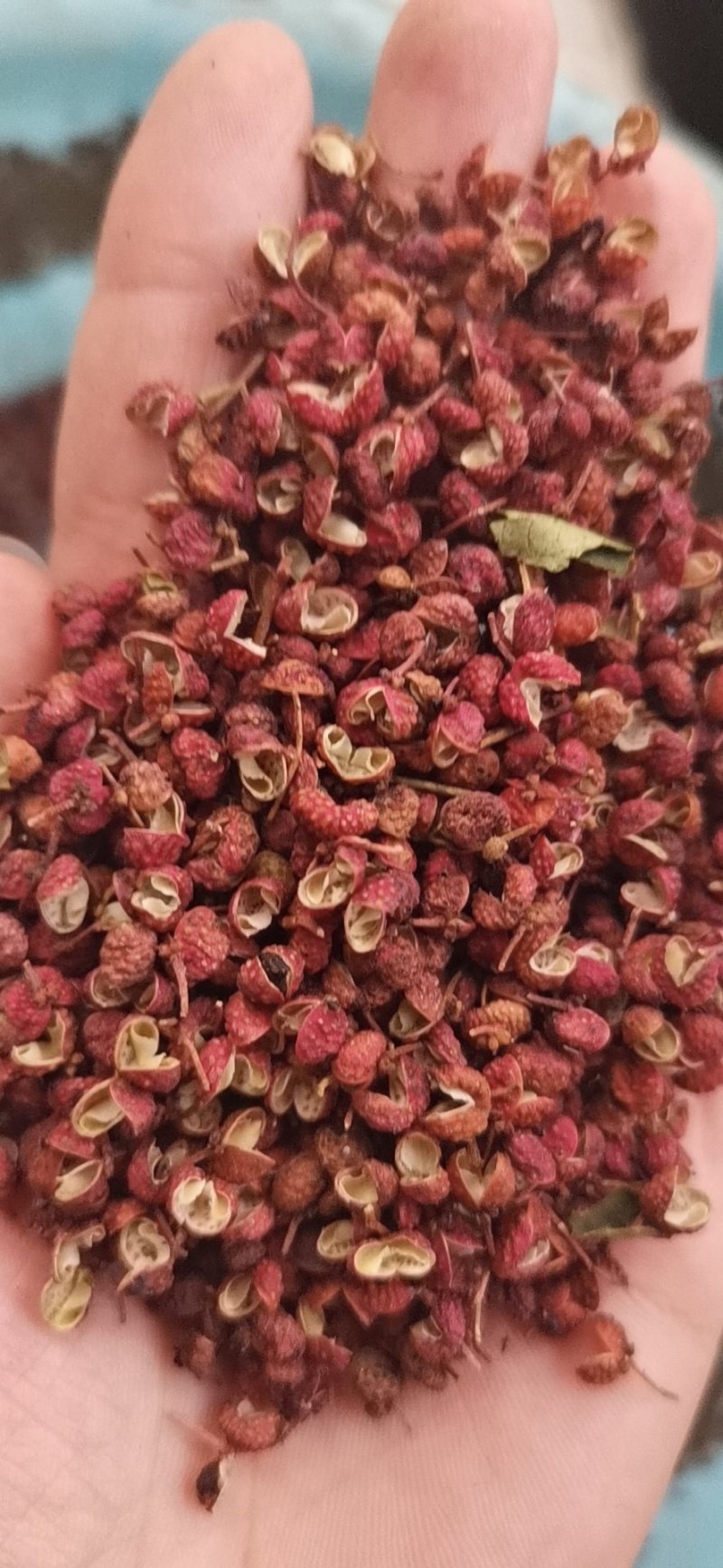 【精品】大红袍花椒自然晒干自产自销保质保量量大从优