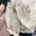 燕窝