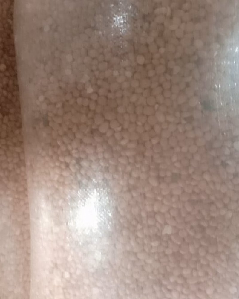 花生米