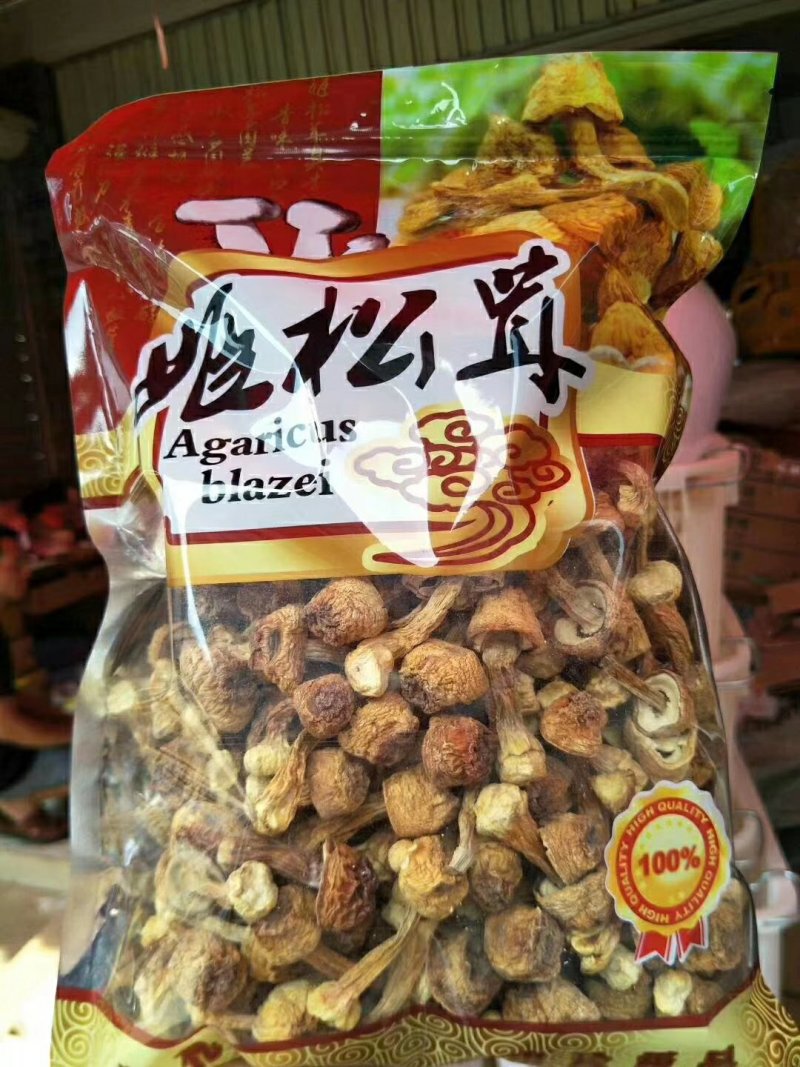姬松茸