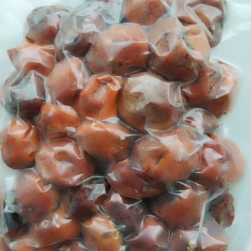树上杏干大量发货
