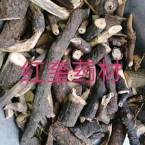 黑骨藤货好量大退换无忧欢迎下单量大优惠