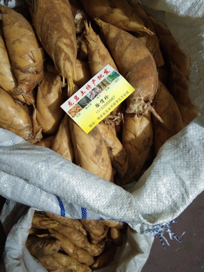 新鲜冬笋大量批发，量大从优质量保证。