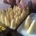 新鲜冬笋大量批发，量大从优质量保证。