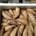 新鲜冬笋大量批发，量大从优质量保证。