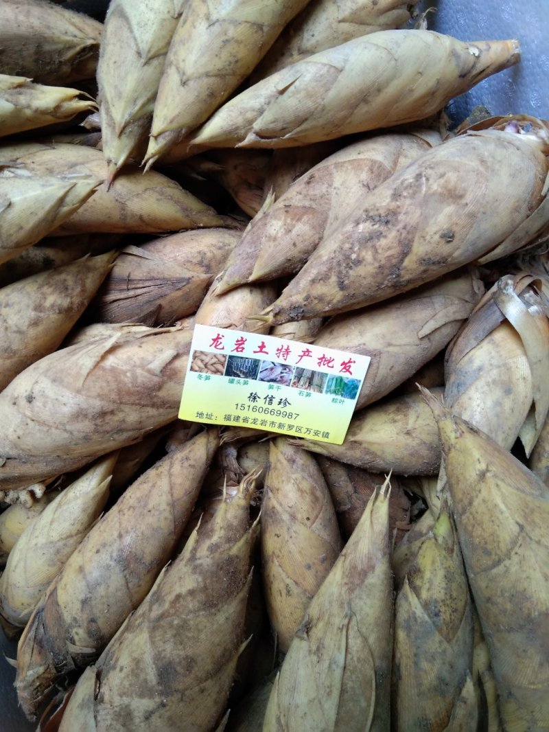 新鲜冬笋大量批发，量大从优质量保证。