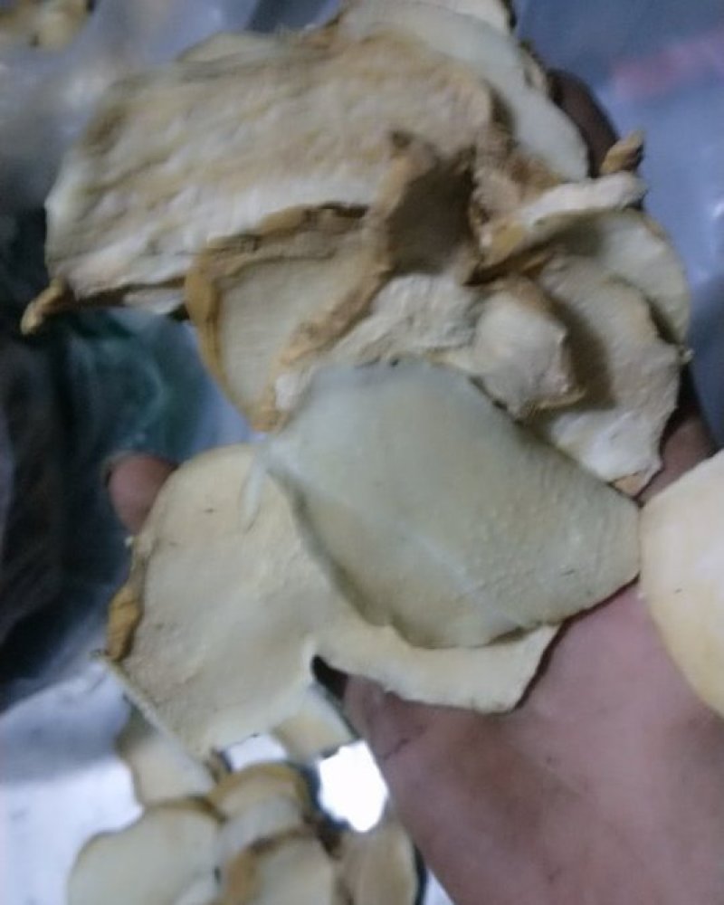 黄精甜黄精，识货才知道好不