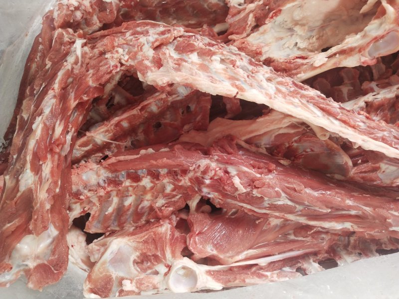 内蒙古锡林郭勒草原羔羊龙骨，肉大羊蝎子，