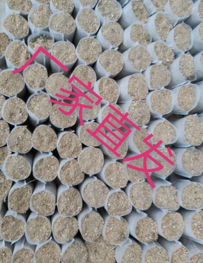 ️️无纺布育苗袋营养袋无纺杯透水可降解免脱袋工厂价批发