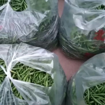 艳红青辣椒