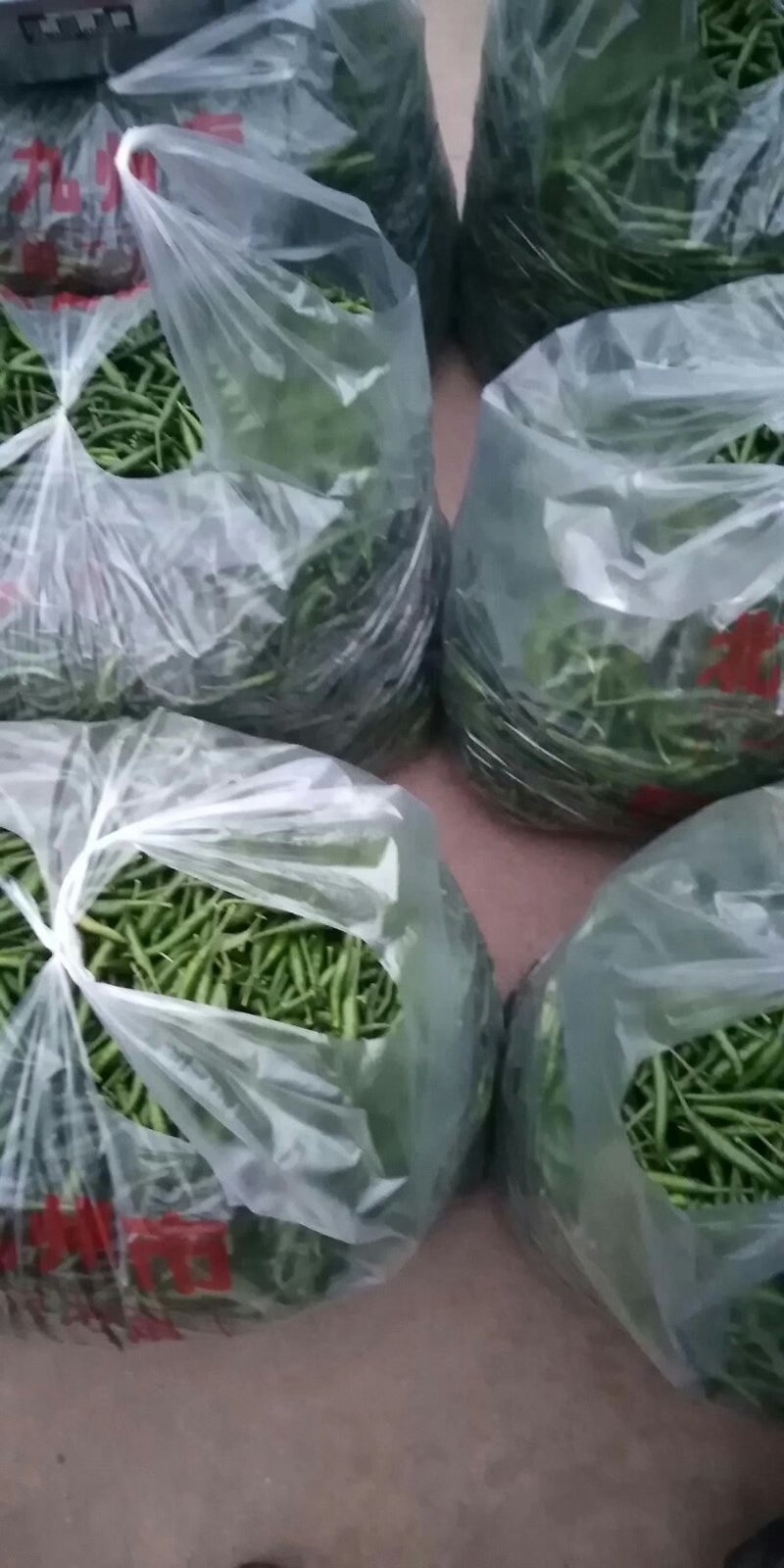 艳红青辣椒