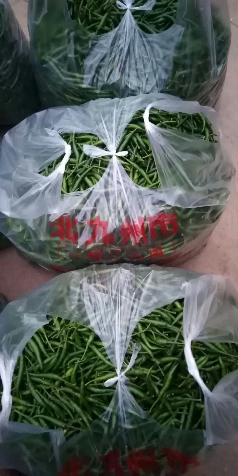 艳红青辣椒