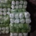 山东白菜夏阳白菜大量供应，质量好，价格便宜