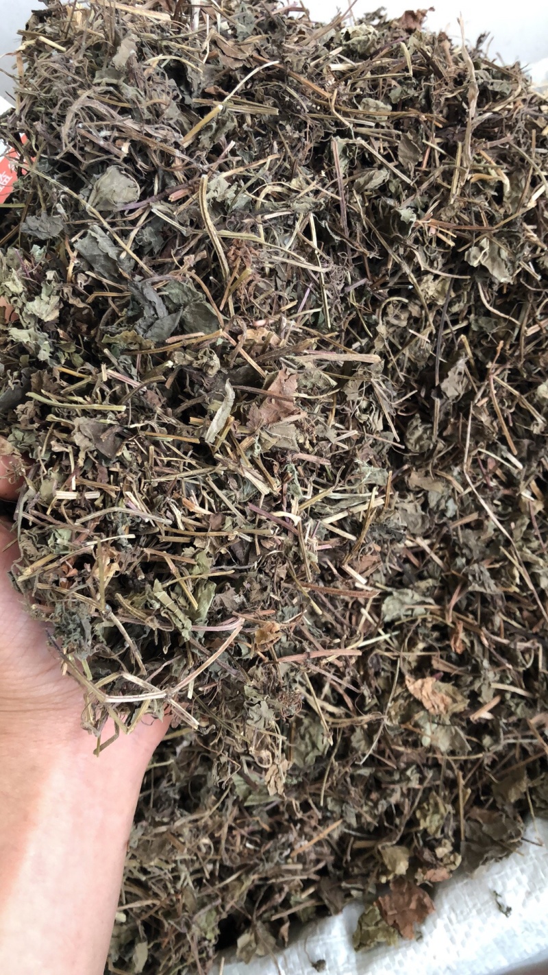 透骨消广西野生货条子切片