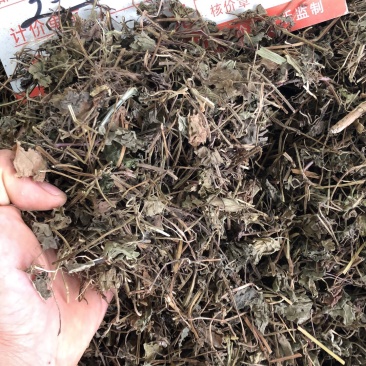 透骨消广西野生货条子切片