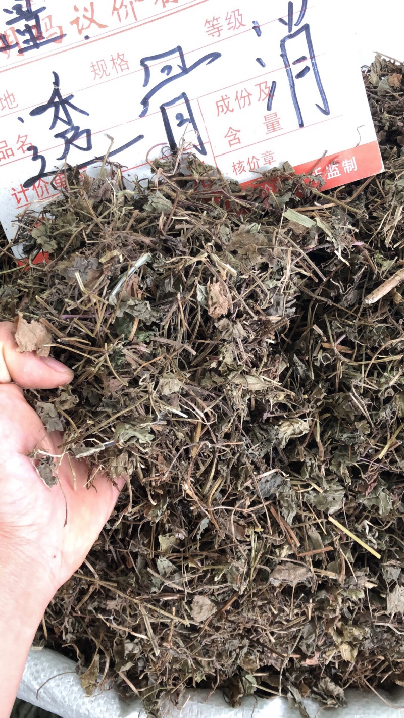 透骨消广西野生货条子切片