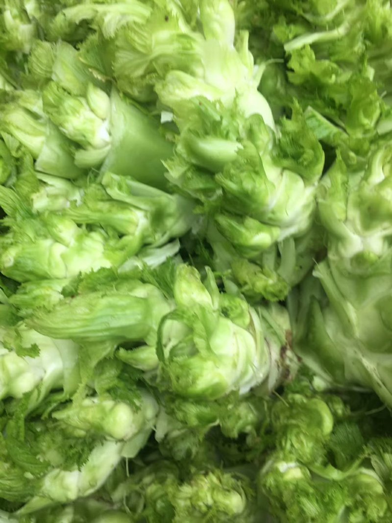 简阳儿菜