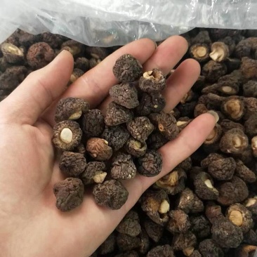 包邮干香菇量大从优。黑面菇（纯自然生长，香浓肉嫩）