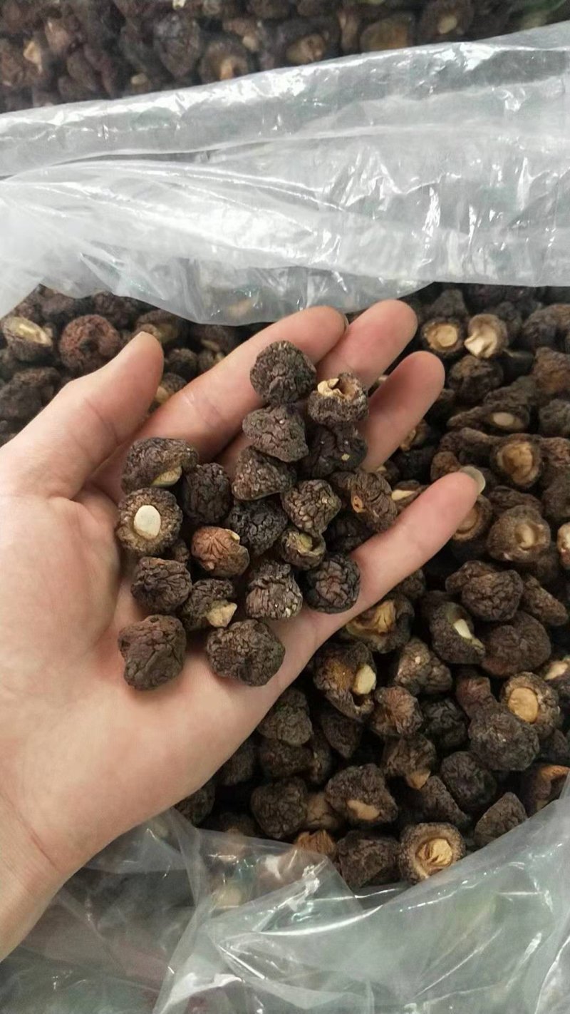 包邮干香菇量大从优。黑面菇（纯自然生长，香浓肉嫩）
