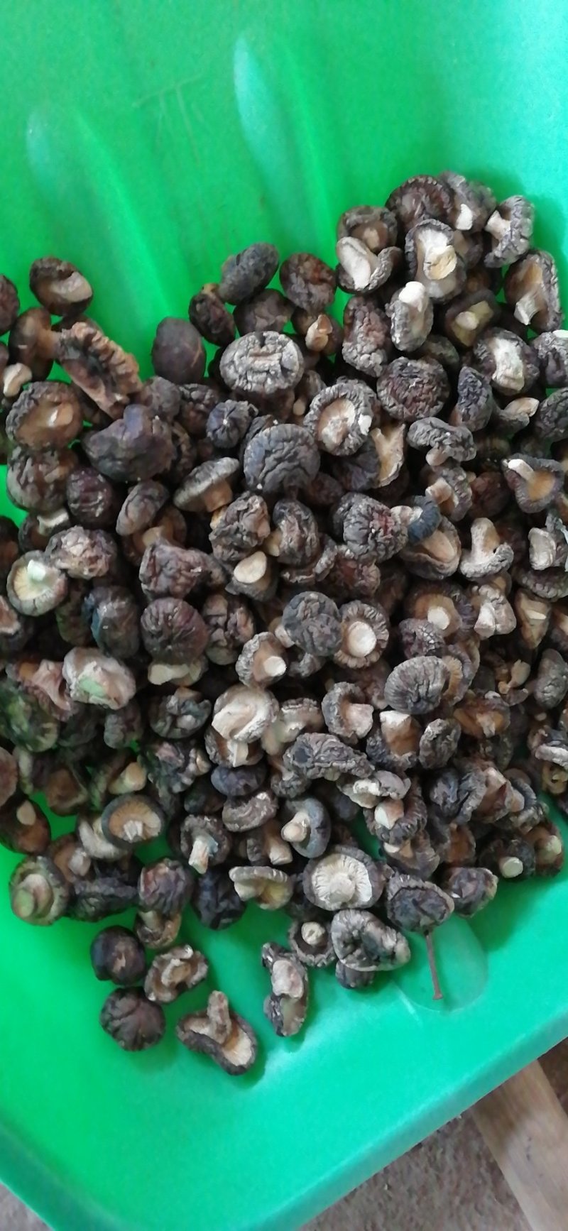 包邮干香菇量大从优。黑面菇（纯自然生长，香浓肉嫩）
