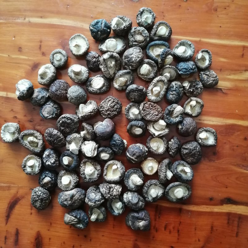 包邮干香菇量大从优。黑面菇（纯自然生长，香浓肉嫩）