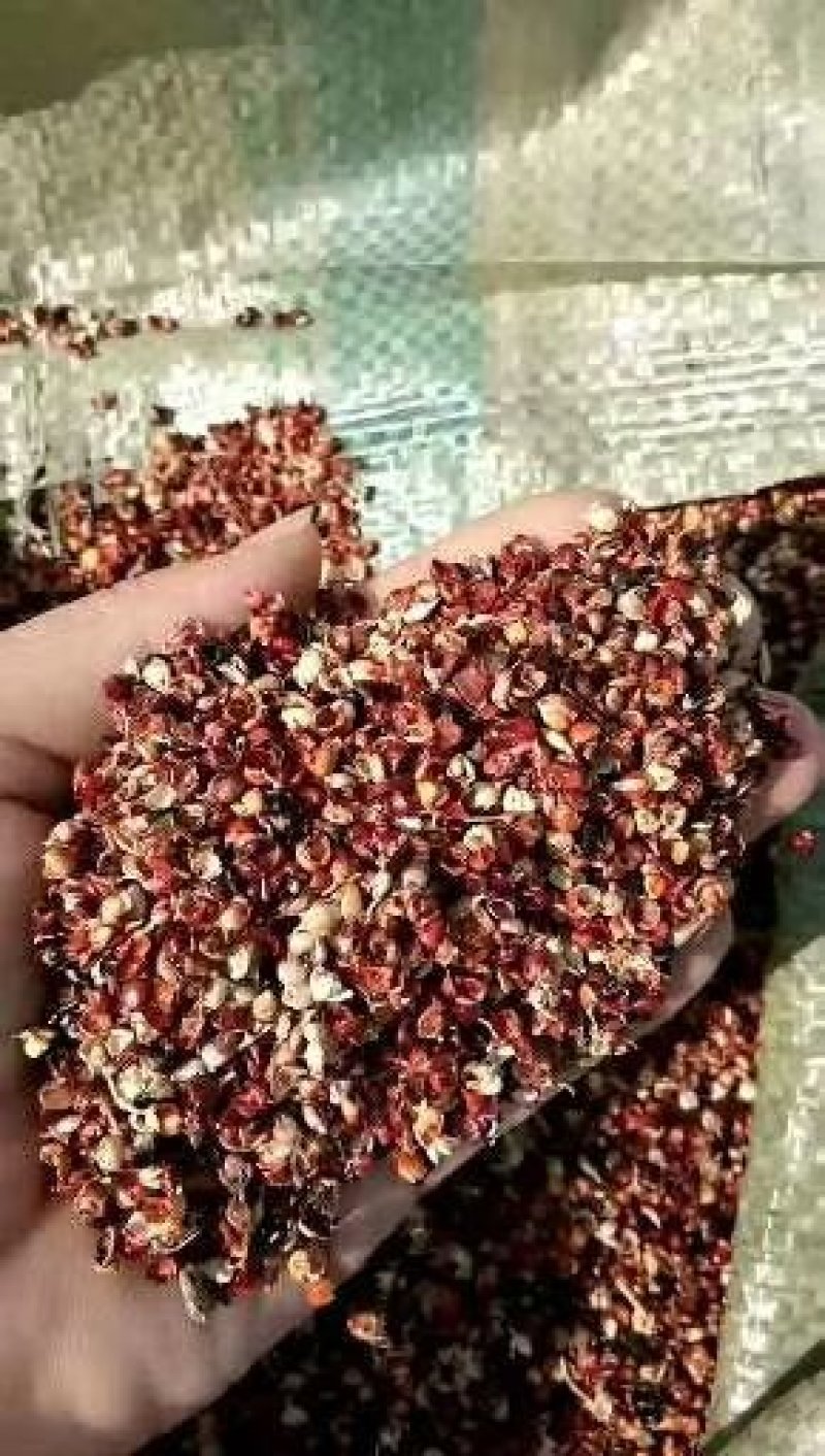 棉籽壳棉籽皮，磨盘棉籽壳，含棉仁棉粉棉籽壳，棉渣棉粕